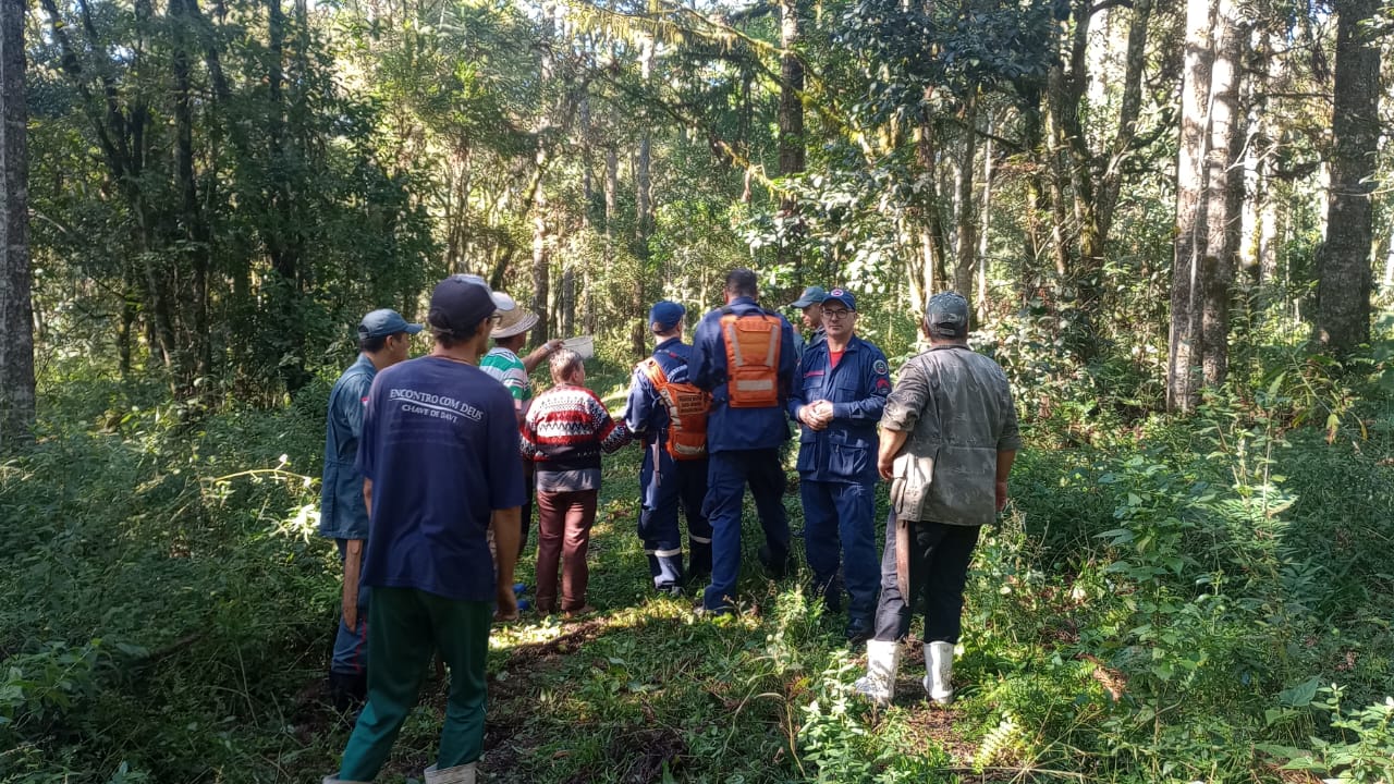 Idosa sai para coletar pinhão e desaparece no Planalto Norte Catarinense