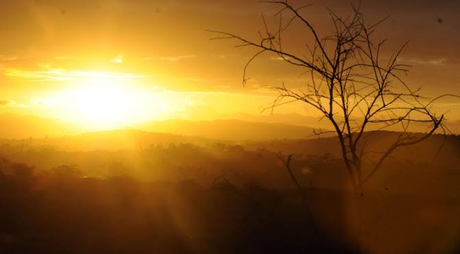 TEMPO: nevoeiros no início da manhã e predomínio de sol a tarde, em SC