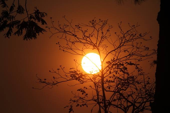 Quarta-feira com sol e temperaturas elevadas no estado de SC - Rede Fronteira