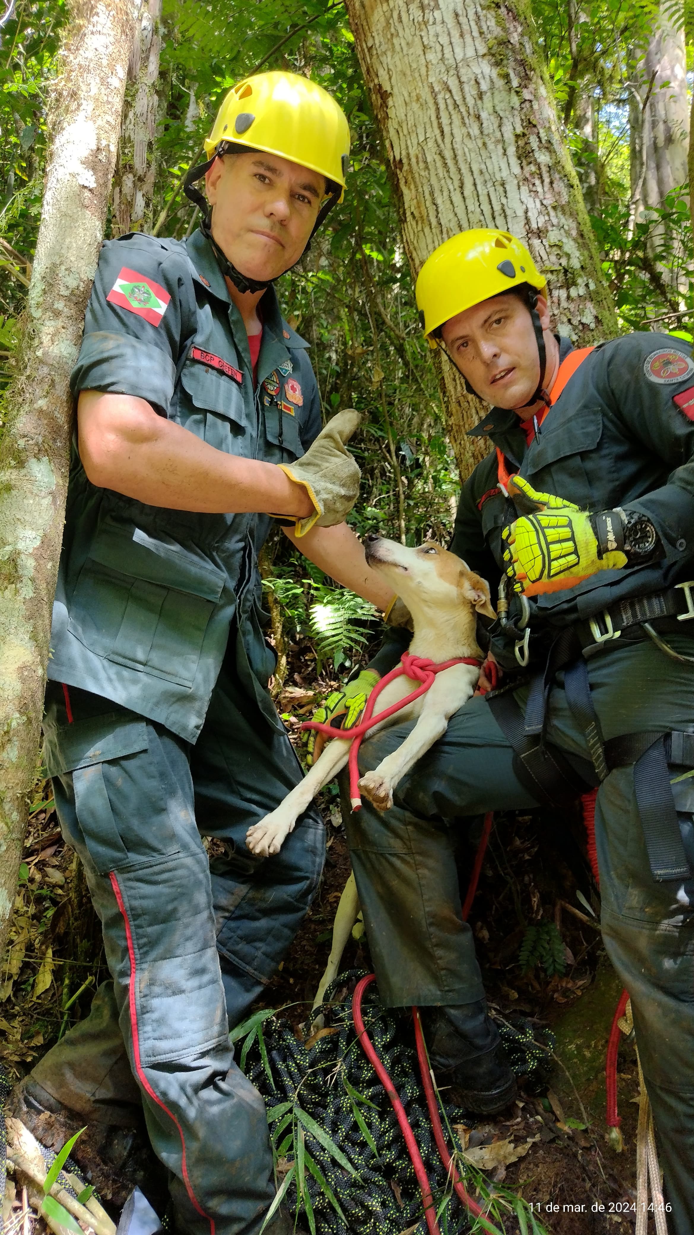 Cão é resgatado em um canyon no interior de Santa Terezinha