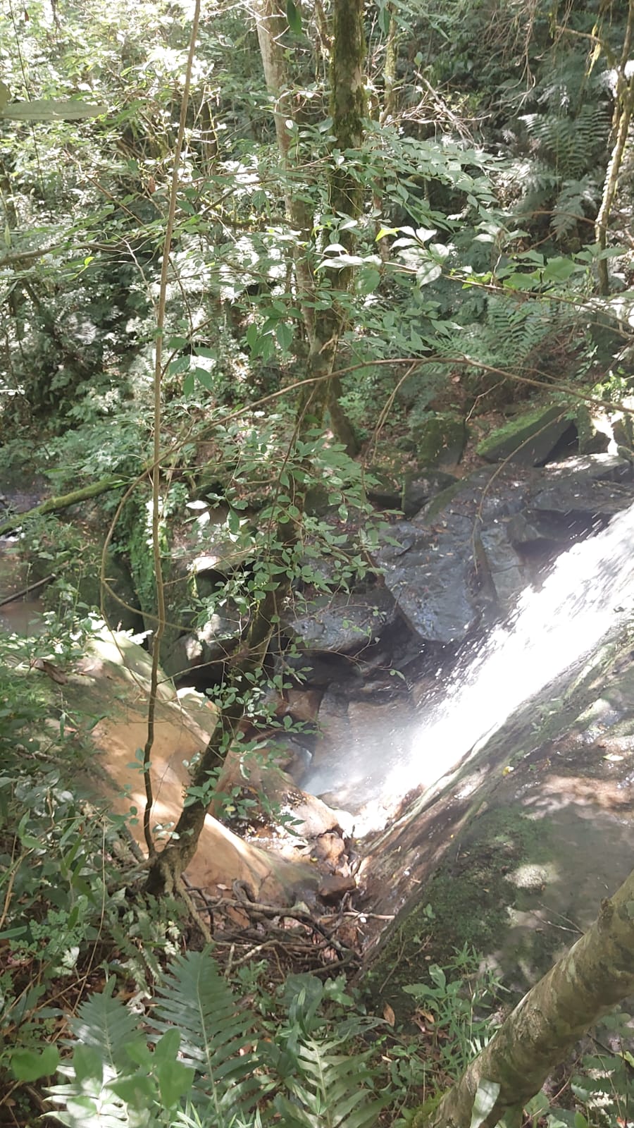 Mulher sofre queda de altura em cachoeira no Planalto Norte