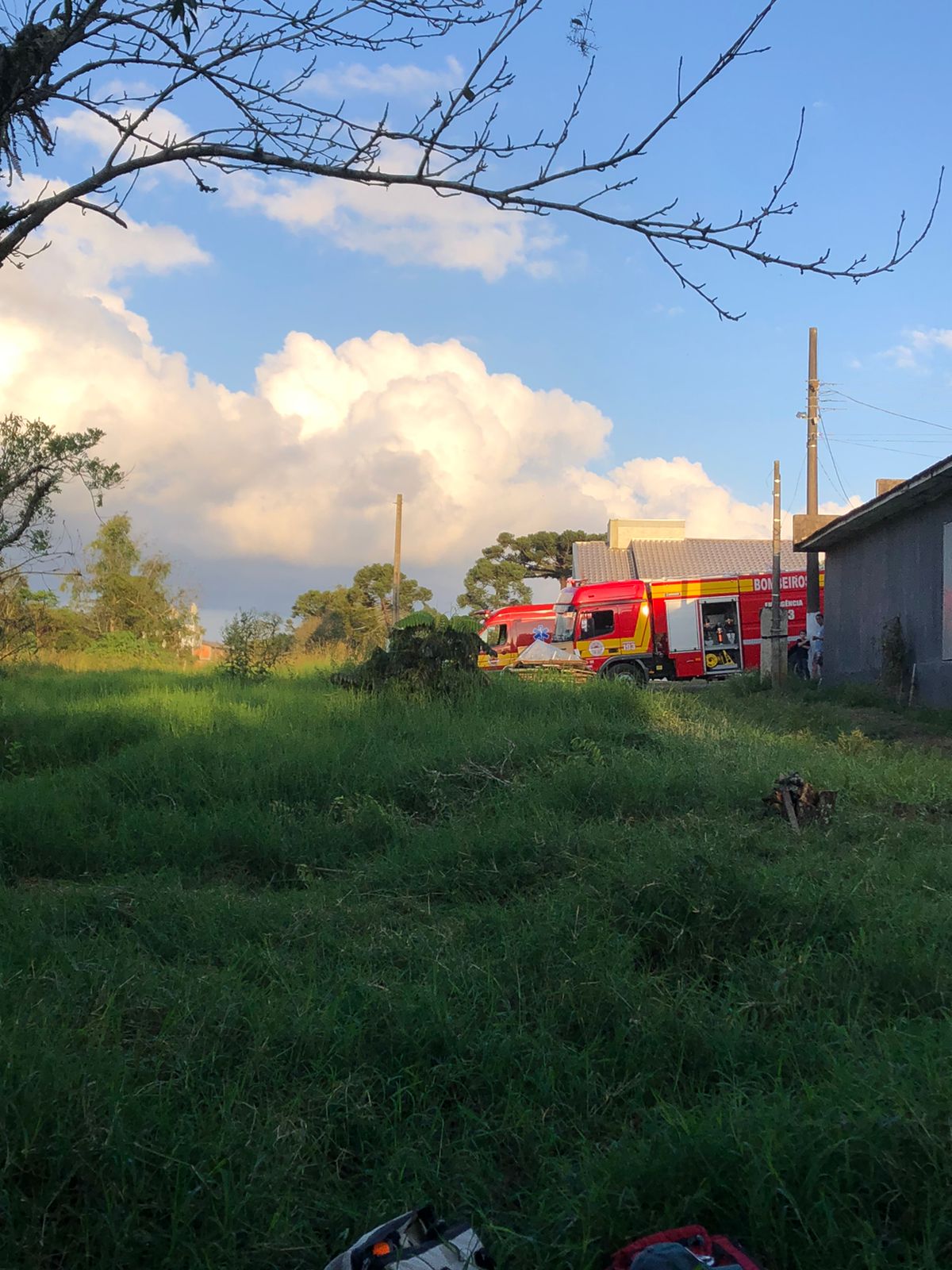 Homem fica ferido em acidente de corte de árvore, em Papanduva