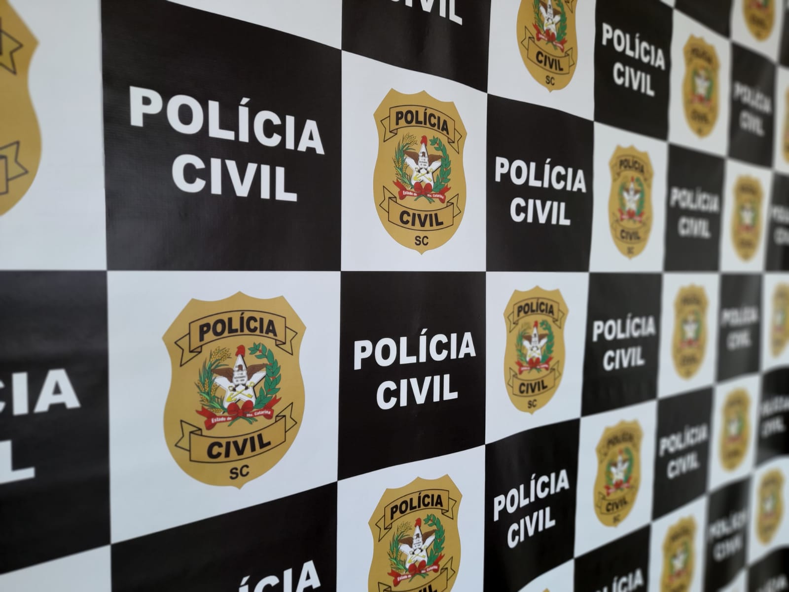 PAPANDUVA: Polícia Civil cumpre mandado de prisão em desfavor de um homem de 25 anos