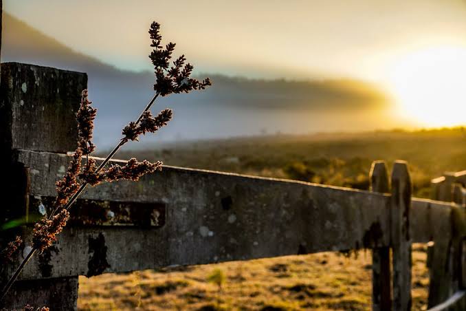 Chegada da 1º massa de ar frio de 2024 fará temperaturas despencarem em SC