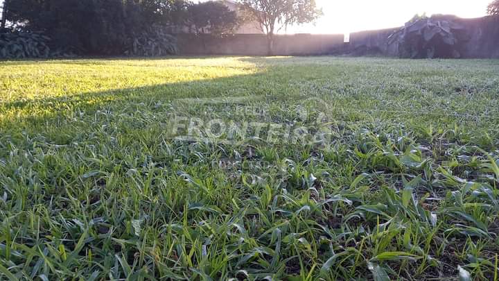 ❄FRIO: baixas temperaturas marcam a quinta-feira de feriado, em SC