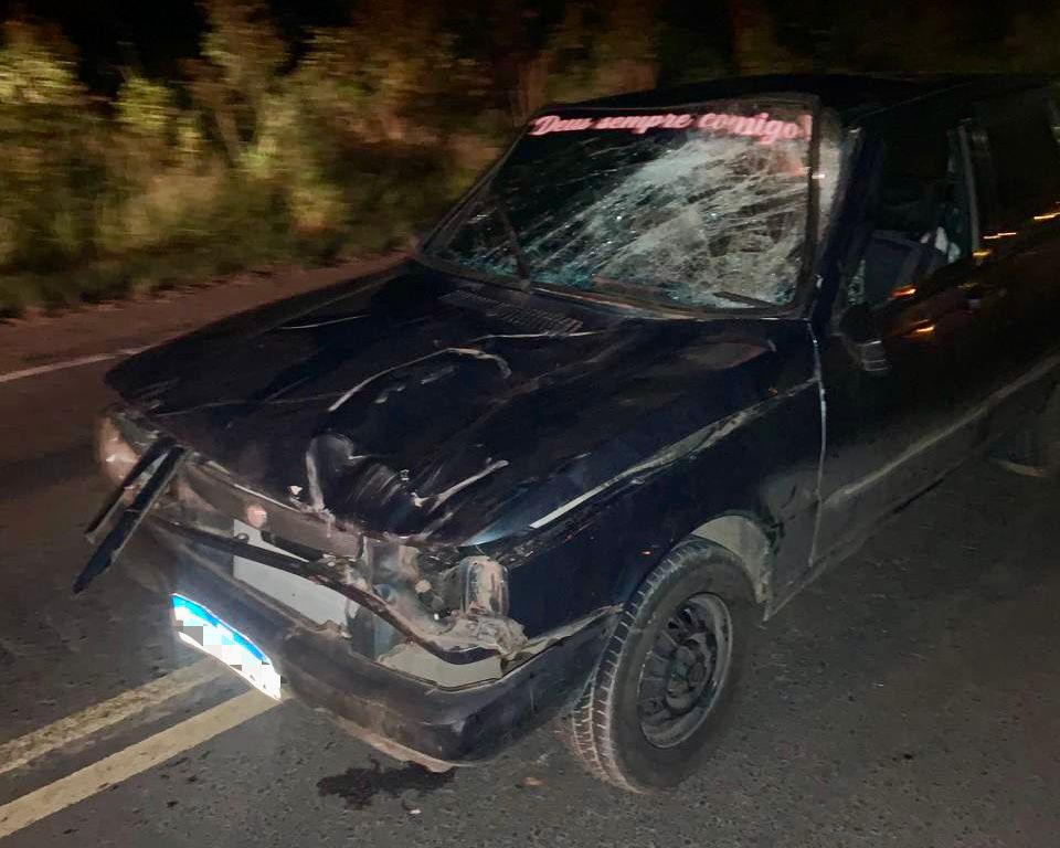 Outro acidente: carro colide em cavalo no Planalto Norte