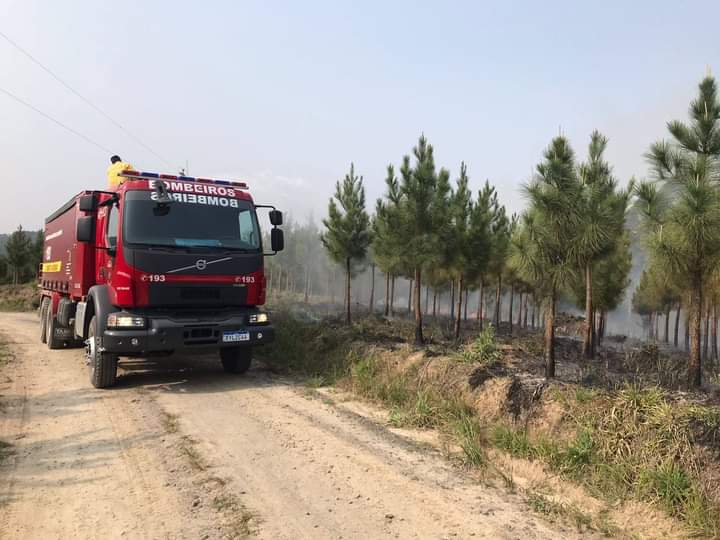 REGIÃO: Bombeiros controlam incêndio em área de reflorestamento