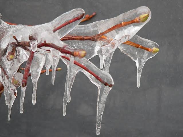 🥶Semana fria e úmida com chance de chuva congelada e neve no Planalto Sul de SC