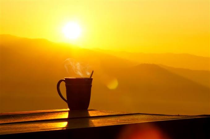 TEMPO: temperaturas mais amenas e tempo firme, em SC